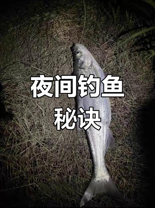長壽湖釣魚可以夜釣嗎_長壽湖翹嘴魚釣法_長壽湖釣魚配方