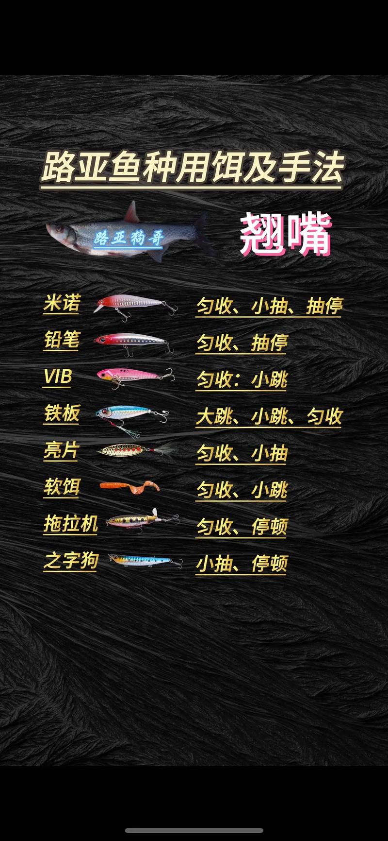 路亞海鱸魚常用餌料_各種路亞餌綁法圖片_路亞海鱸魚用什么餌