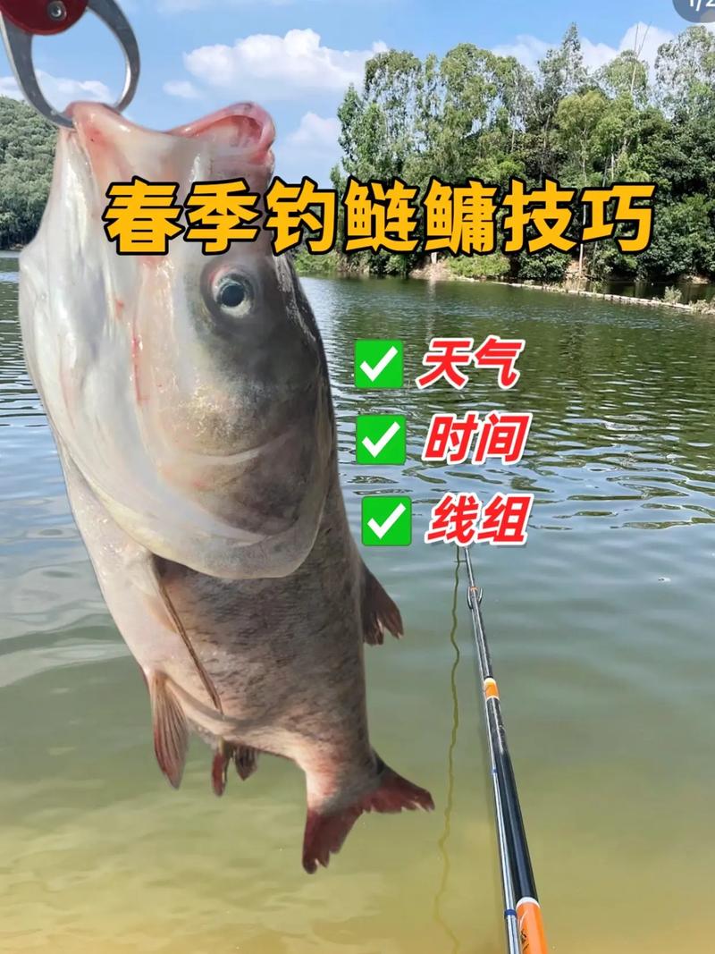 陰天能釣鰱鳙嗎-釣鰱鳙技巧-網_中國釣魚人_陰天鰱鳙釣底還是釣浮_陰天鰱鳙開口嗎