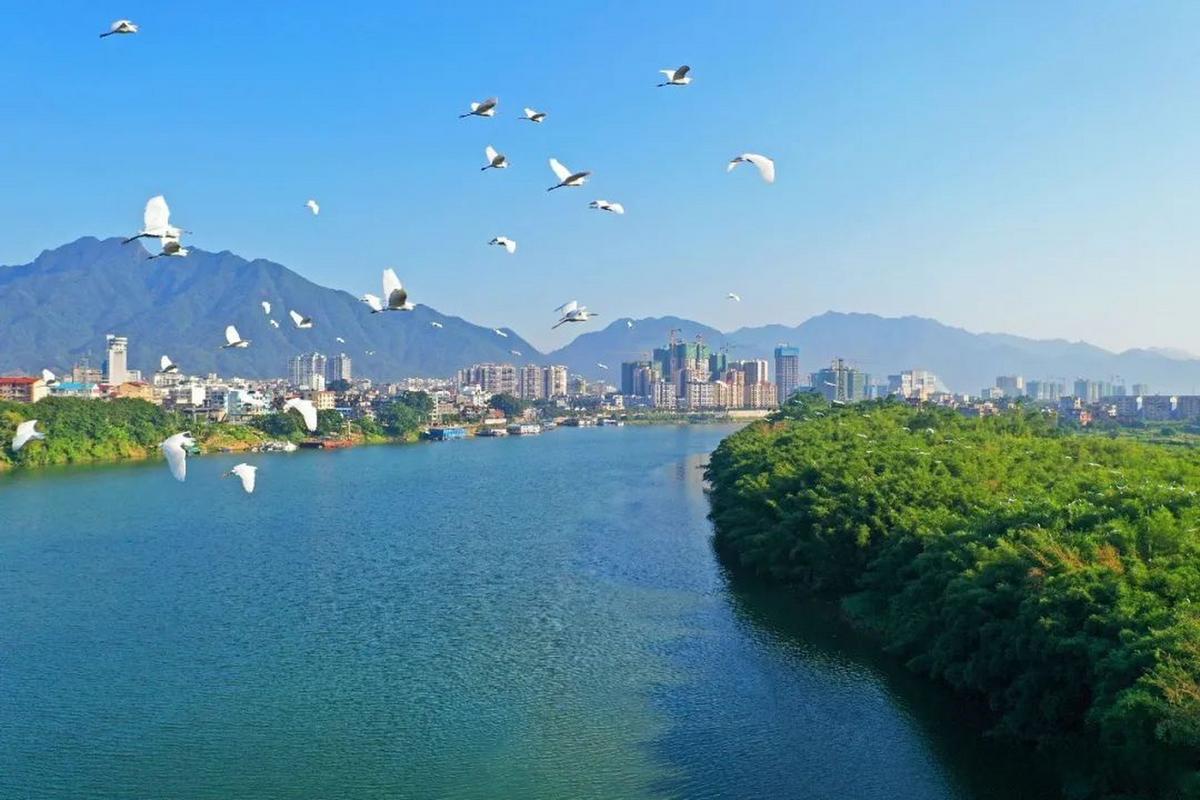 桂江論壇昭平_昭平在線桂江社區_昭平桂江網