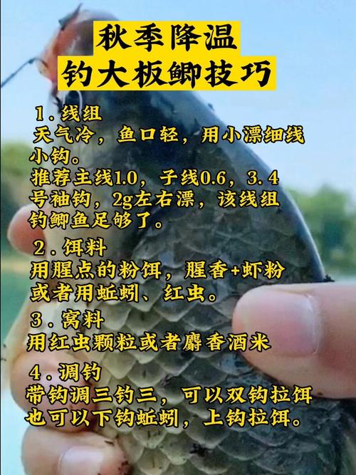 釣魚高手技巧百題_釣魚經驗積累_秋季作釣鯽魚的一些技巧必看