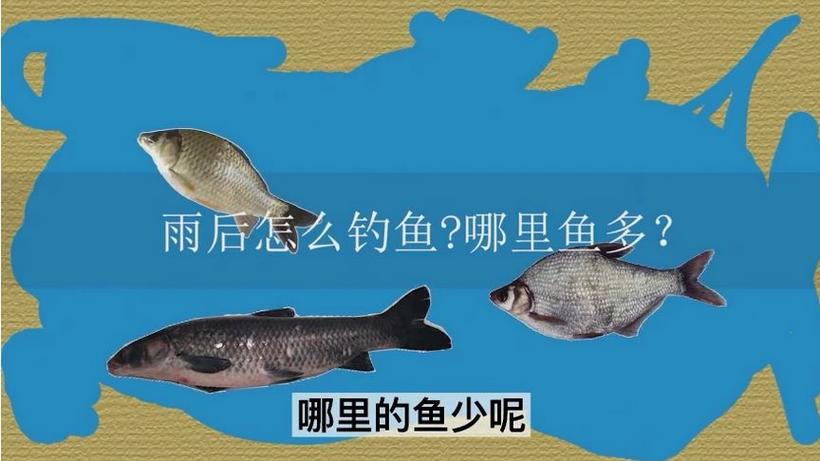 秋季釣魚風向朝向地形深淺_春秋釣魚技巧_秋天該釣深水還是淺水?