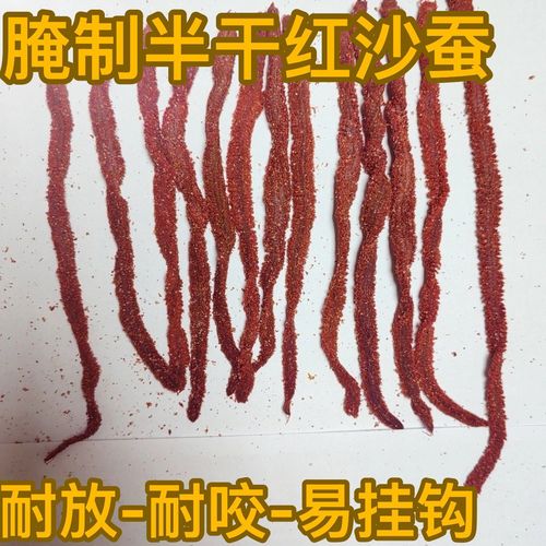 巢沙蠶青沙蠶水沙蠶巖沙蠶_沙蠶圖片_沙蠶種類用法