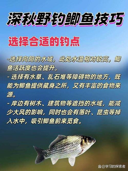 洄水灣選釣位技巧_秋季野釣選釣位技巧_秋天該釣深水還是淺水?