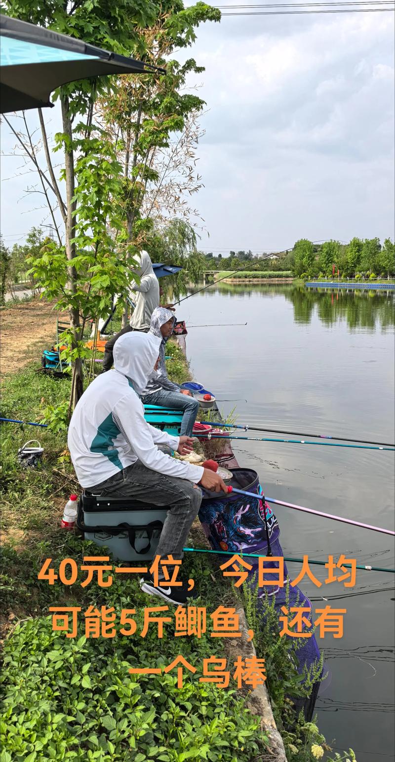 洪澤湖釣魚經驗分享_洪澤湖垂釣日志_洪澤湖釣魚