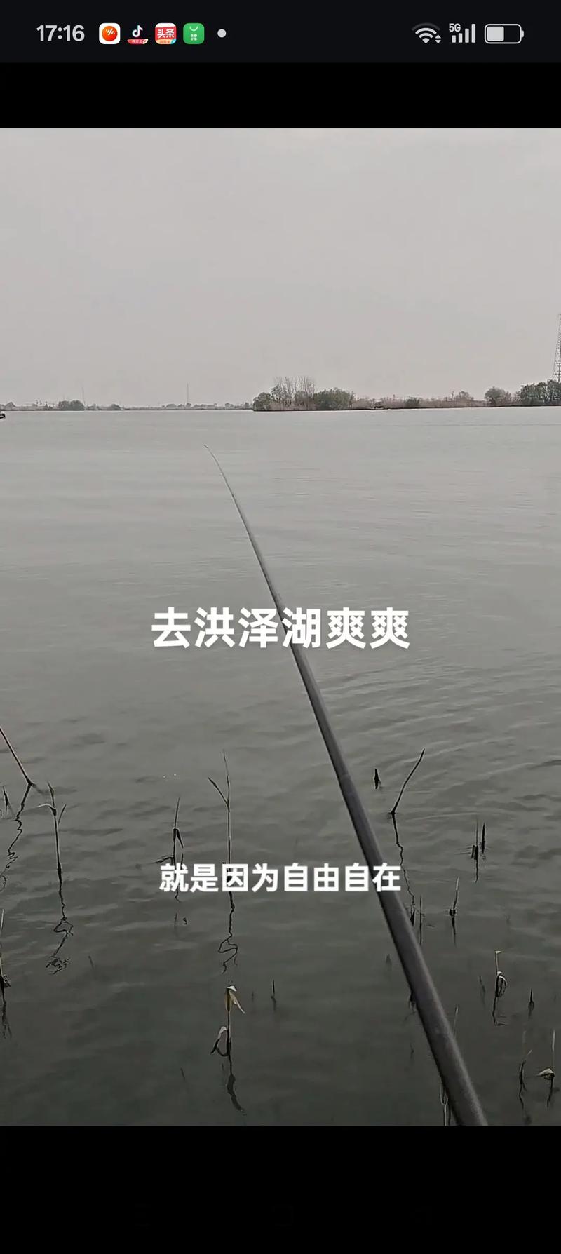 洪澤湖滯洪區改造工程_洪澤湖釣魚_洪澤湖釣魚點變化