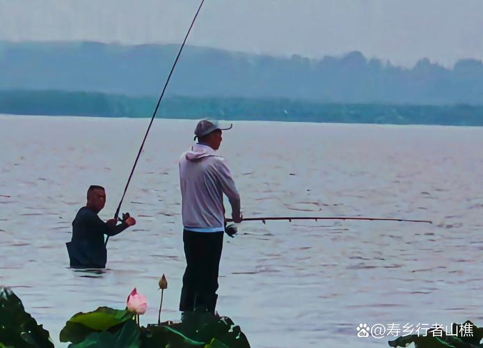 洪澤湖滯洪區改造工程_洪澤湖釣魚點變化_洪澤湖釣魚