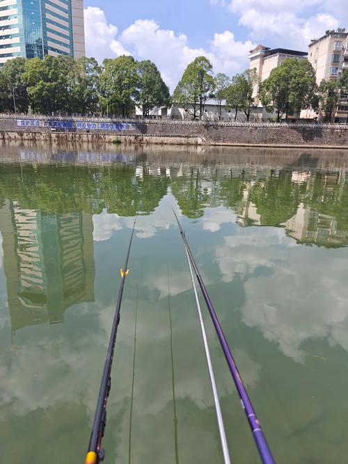 洪澤湖釣魚點變化_洪澤湖釣魚_洪澤湖滯洪區改造工程