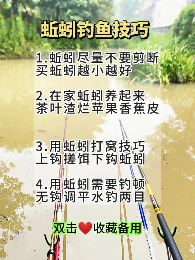 蚯蚓釣魚有技巧以及養殖注意事項必看_野釣蚯蚓技巧_蚯蚓垂釣方法