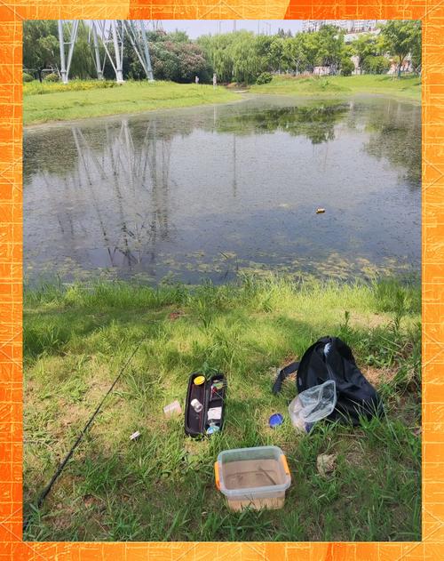 上海釣魚網論壇_上海釣魚論壇進不去了_釣魚論壇上海網官網