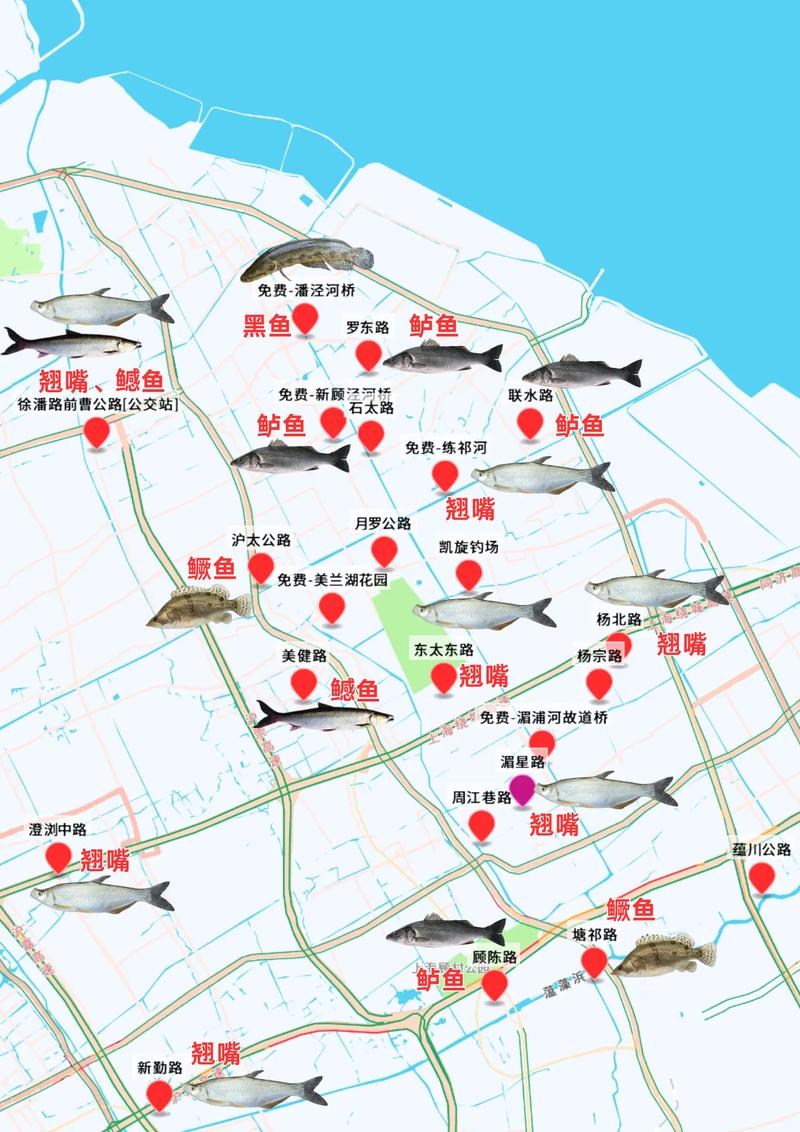 釣魚論壇上海網官網_上海釣魚網論壇_上海釣魚論壇進不去了