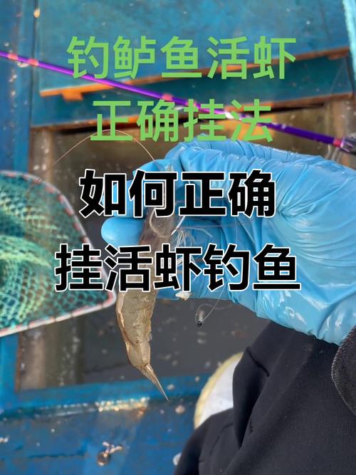 海釣鱸魚技巧_擬餌選擇操控節奏_路亞釣鱸魚技巧