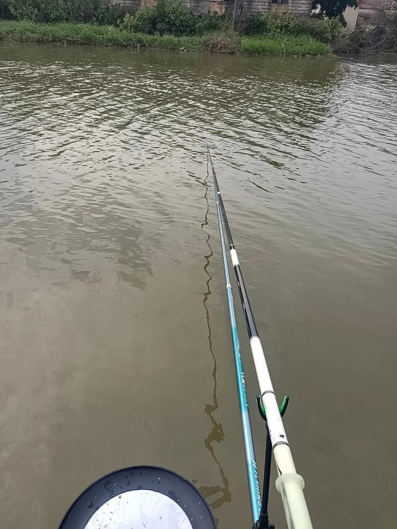 10米手桿釣魚技巧_釣米魚視頻_怎么用米釣魚