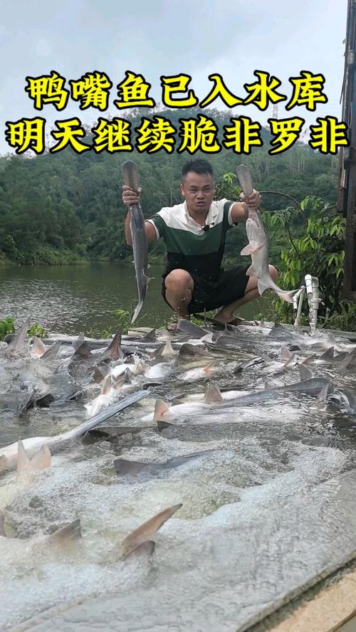 鴨嘴魚的特點_鴨嘴魚怎么釣_求鴨嘴魚的釣法