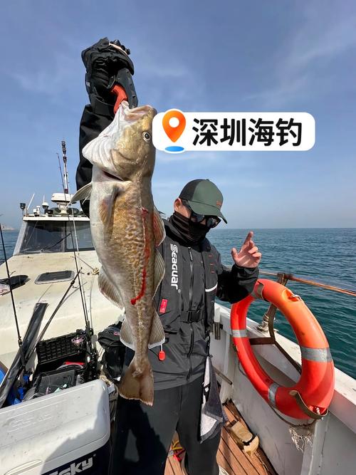 深圳海邊釣魚點_深圳釣魚網_深圳海邊釣魚技巧