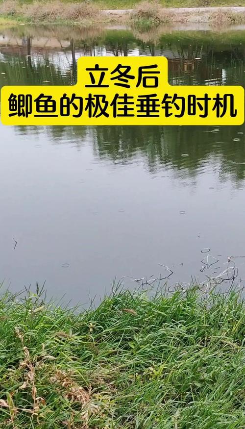 野外釣魚黃金時段_清晨垂釣技巧_4月下雨天釣魚技巧