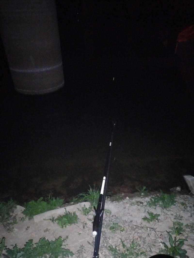 初夏仲秋夜釣時機_4月下雨天釣魚技巧_夜釣最佳時間