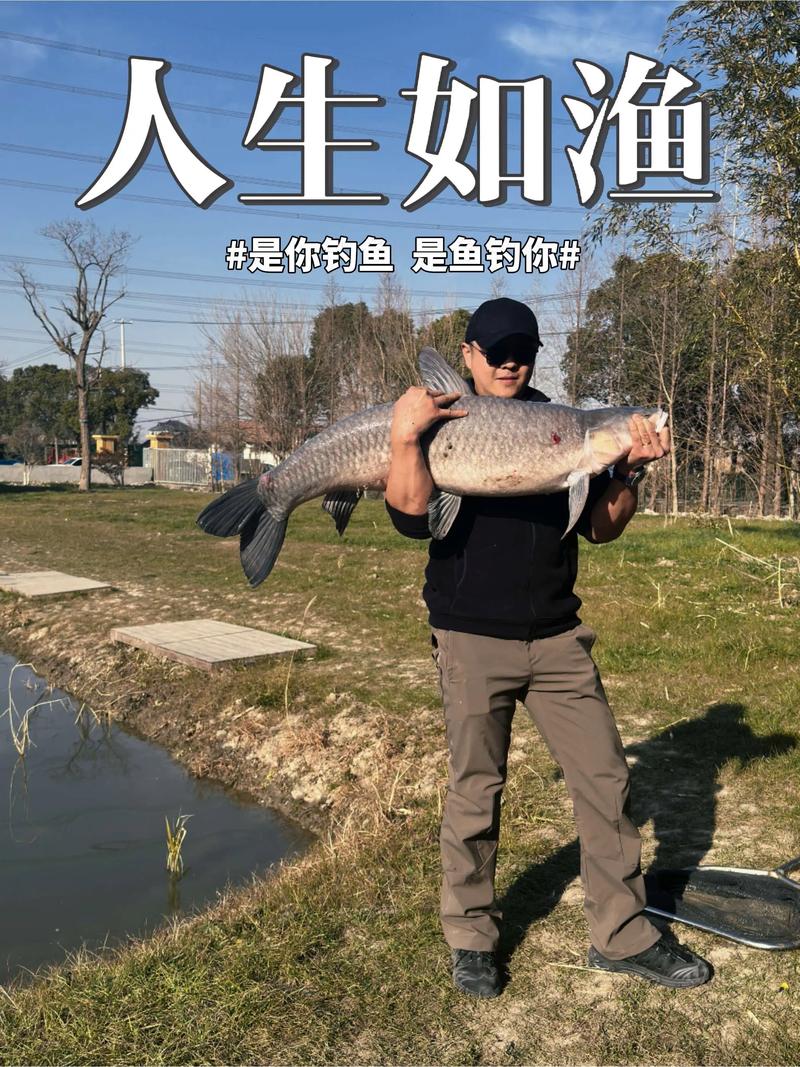 釣魚的吸引力是什么 為什么人們喜歡釣魚 釣魚帶來的精神滿足與治愈_釣魚時間選擇