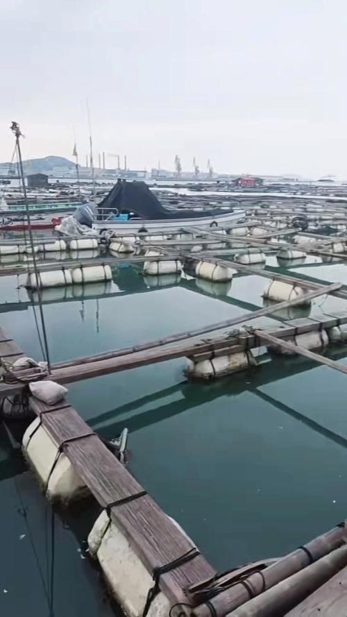 漁排建筑方案設計_漁排_漁排釣魚技巧_漁排建筑設計考慮因素