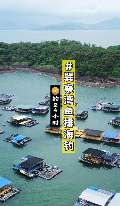 漁排_漁排釣魚技巧_釣魚選位技巧_春季釣魚選位