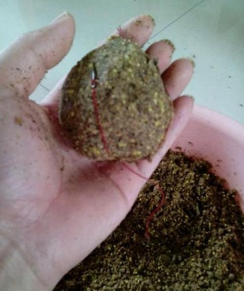 春季釣草魚餌料配方_自制草魚餌料配方_野釣草魚爆炸餌配方