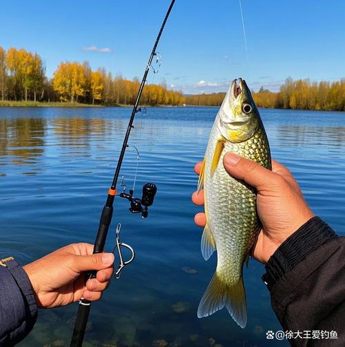 雨天垂釣最佳時機_下雨天釣魚技巧_深秋雨天釣魚技巧