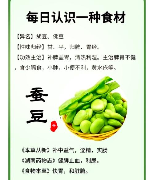 蠶豆抗癌功效_蠶豆功效與作用_煮蠶豆