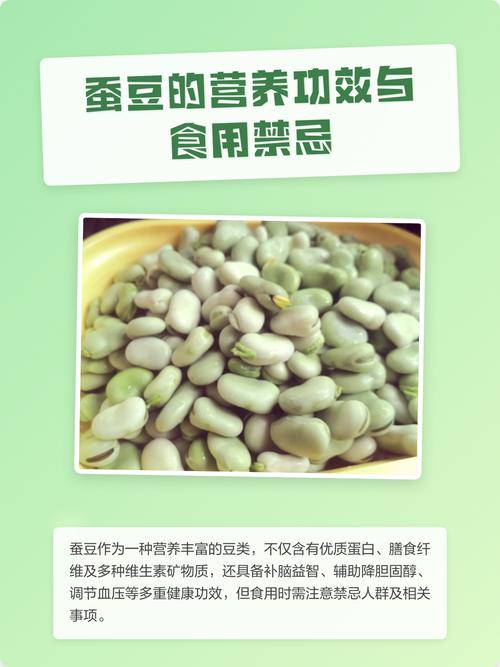 煮蠶豆_蠶豆功效與作用_蠶豆抗癌功效