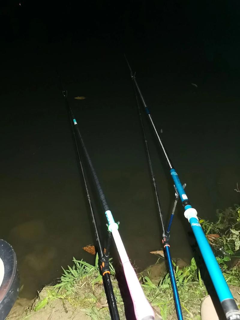 夜釣技巧_晚上魚塘釣魚技巧_夜釣注意事項