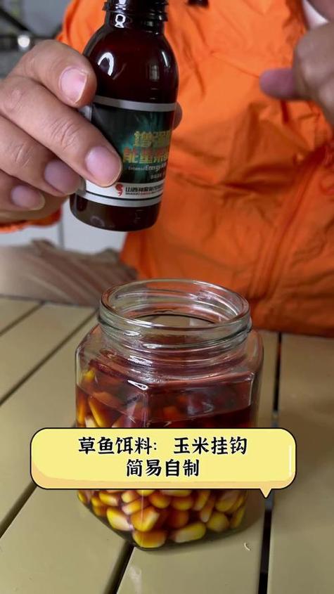 玉米面冬季釣魚怎么做?_玉米面餌料制作方法_野釣玉米面配方提升漁獲率