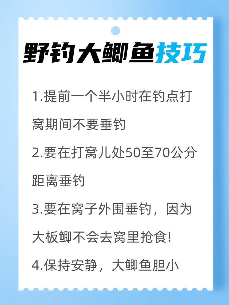 秋季釣魚技巧攻略_如何在水庫釣鯽魚的技巧全攻略_秋季釣魚技巧全攻略