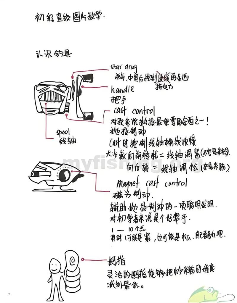 水滴輪選擇指南_微物輪泛用輪區別_水滴輪的使用