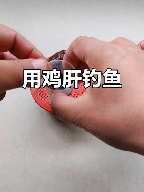 豬肝初冬海竿釣魚技巧_釣魚安全注意事項_豬肝釣淡水魚