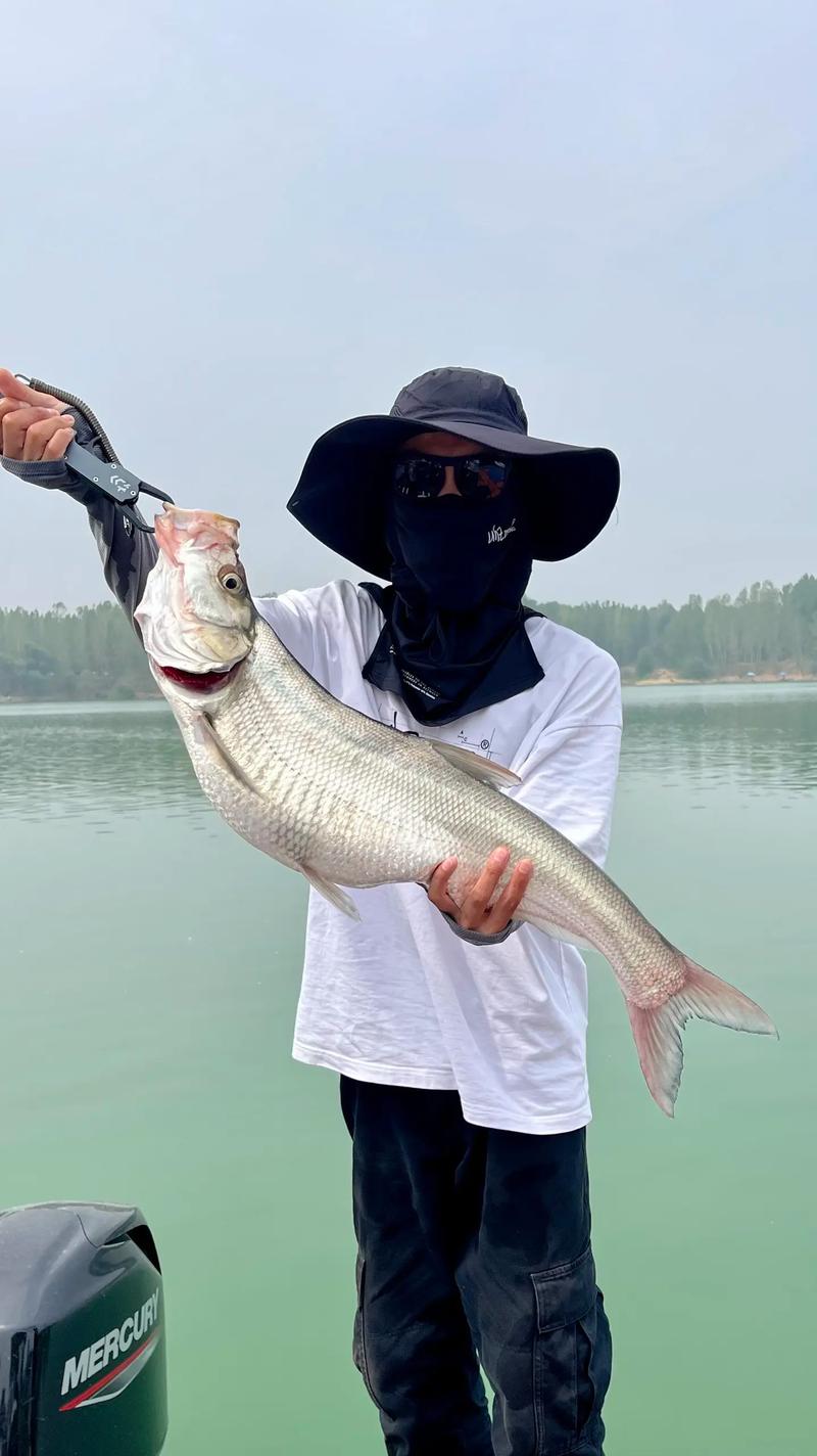 三兄弟初冬探釣千島湖齊齊大戰翹嘴300斤+_三兄弟初冬探釣千島湖齊齊大戰翹嘴300斤+_三兄弟初冬探釣千島湖齊齊大戰翹嘴300斤+