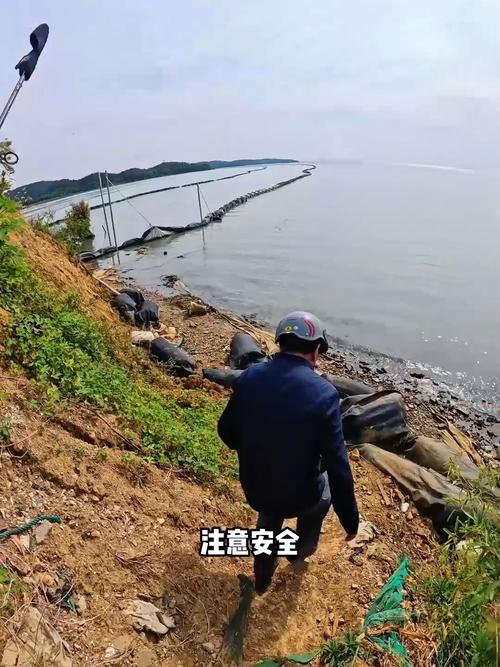 三兄弟初冬探釣千島湖齊齊大戰翹嘴300斤+_三兄弟初冬探釣千島湖齊齊大戰翹嘴300斤+_三兄弟初冬探釣千島湖齊齊大戰翹嘴300斤+