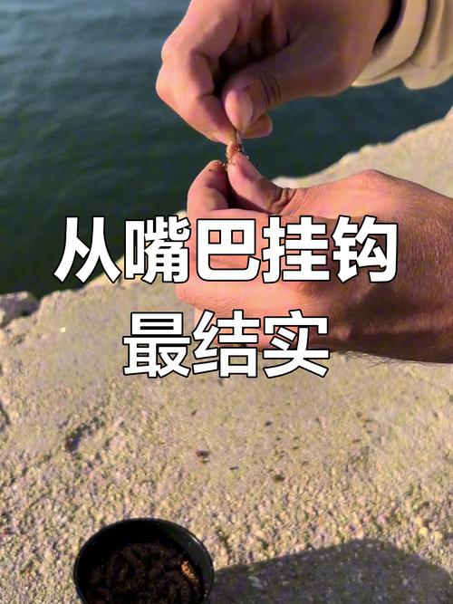 新手零失敗沙蛆釣法_沙蛆掛鉤技巧_沙蠶_沙蠶掛鉤方法圖解