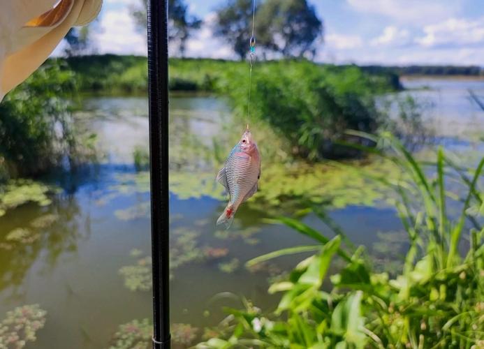 沙河水庫可以釣魚嗎？釣魚之家_沙河水庫鑿冰釣魚 禁止釣魚 警示牌