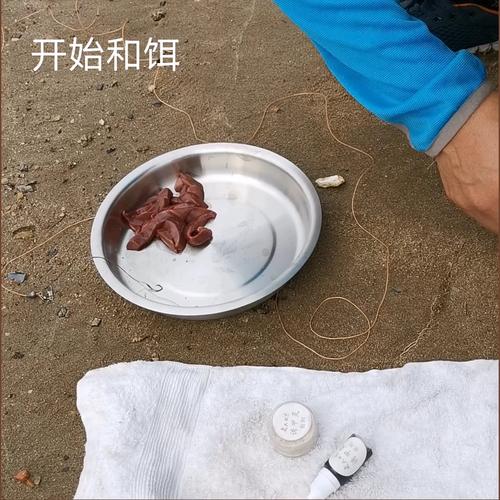 野生甲魚怎么釣_甲魚餌料選擇_釣甲魚方法