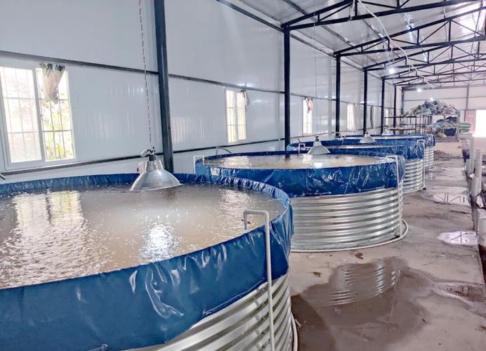 水庫養魚_小型水庫養魚技術重點_清基消毒除害