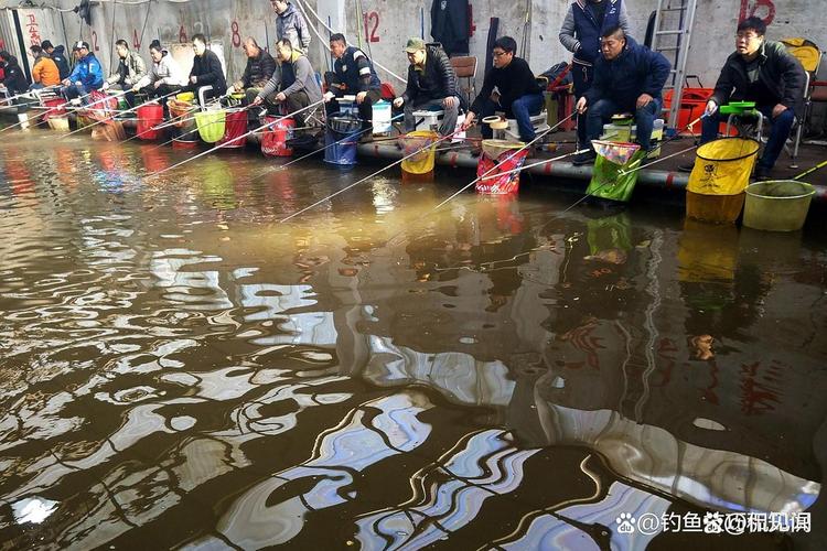 新放魚水渾黑坑_黑坑釣魚避坑指南_黑坑釣魚視頻