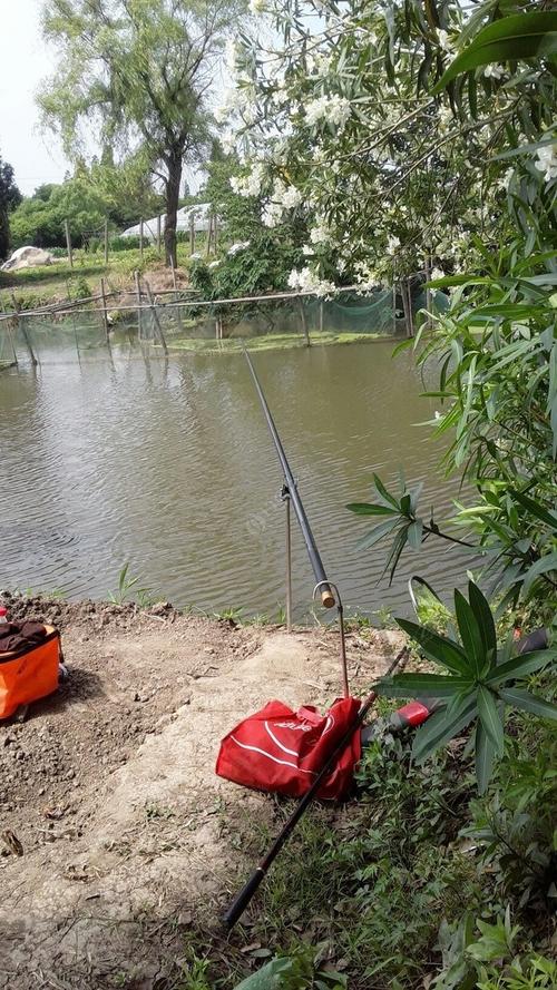 馬陸葡萄主題公園介紹_馬陸葡萄公園十大景觀_馬陸葡萄主題公園釣魚