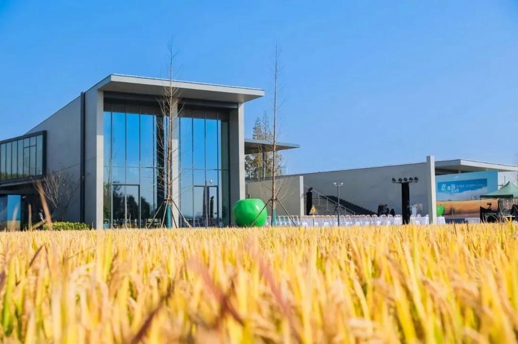 宏泰園農家樂體驗_馬陸葡萄主題公園釣魚_馬陸葡萄主題公園鄉村旅游