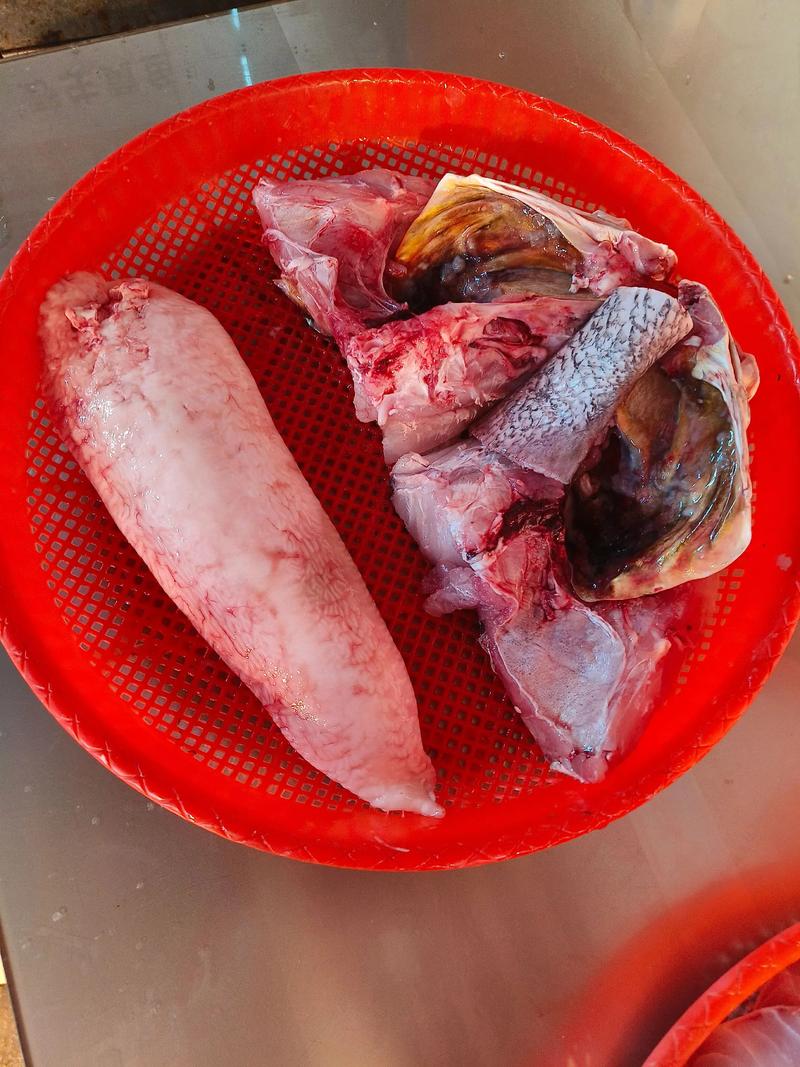 黑鳘魚_黑鳘魚_黑鳘魚