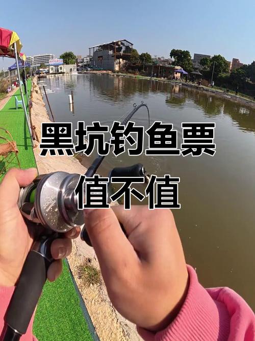 釣魚黑坑 賭塘 漁具行業_黑坑什么意思
