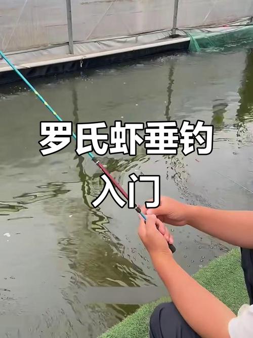 釣羅氏蝦要近還是釣遠_釣羅氏蝦蝦餌配方_怎么釣羅氏蝦