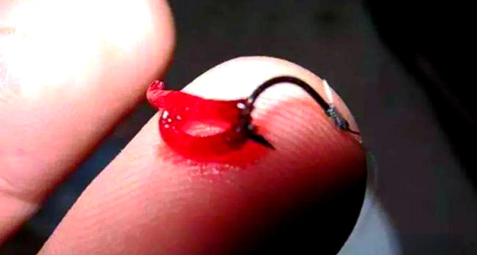 紅蟲安全使用_紅蟲釣魚真的危險嗎_紅蟲病謠言解析