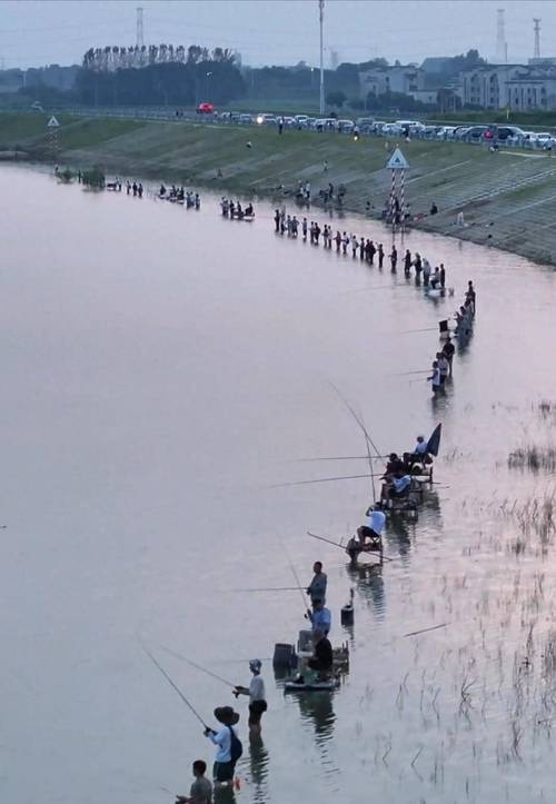 游釣中國_游釣中國停更了嗎_李大毛游釣中國第十一季