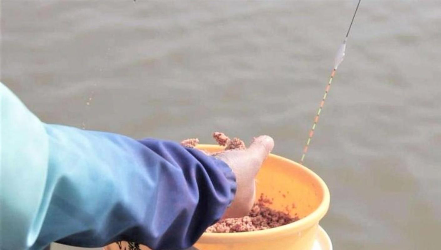 驚蟄后大板鯽打窩方法_野釣用什么打窩最好_驚蟄后野釣打窩技巧