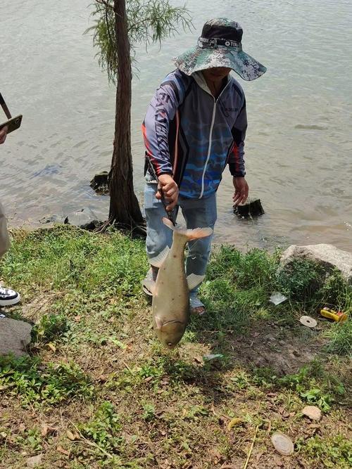 湖邊釣魚_焦崗湖釣魚經歷_湖邊垂釣作文