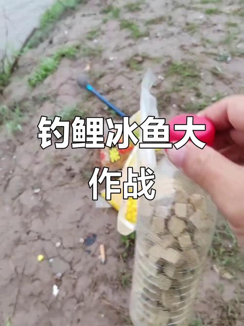 湖南釣魚頻道直播視頻_湖南釣魚頻道直播_湖南衛視釣魚頻道